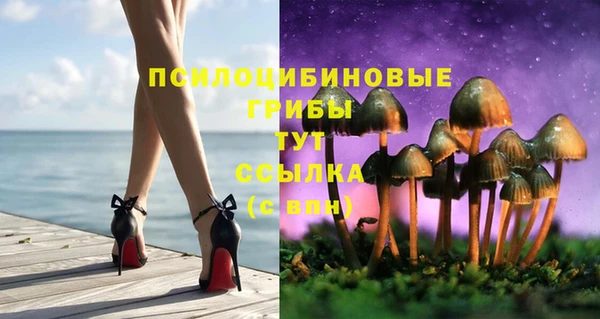 СК Абдулино