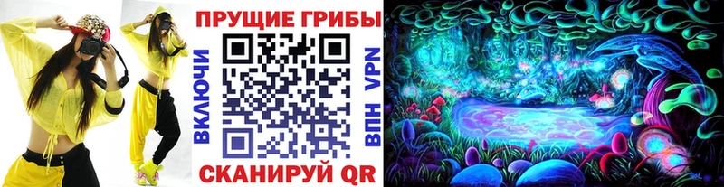 сайты даркнета состав  hydra как войти  Ясный  Галлюциногенные грибы Cubensis 